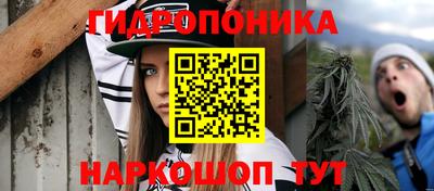 шишки Донецк