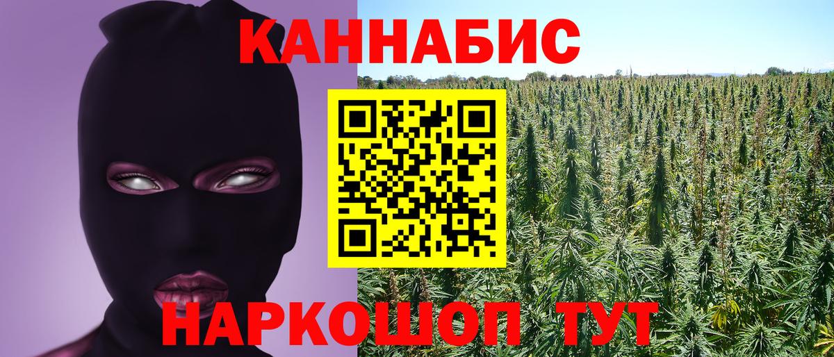 Бошки Шишки тримм  Вход с VPN  МАРИХУАНА семена  Нефтекумск  Канабис SATIVA & INDICA 